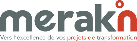 Merakin : Vers l'excellence de vos projets de transformation